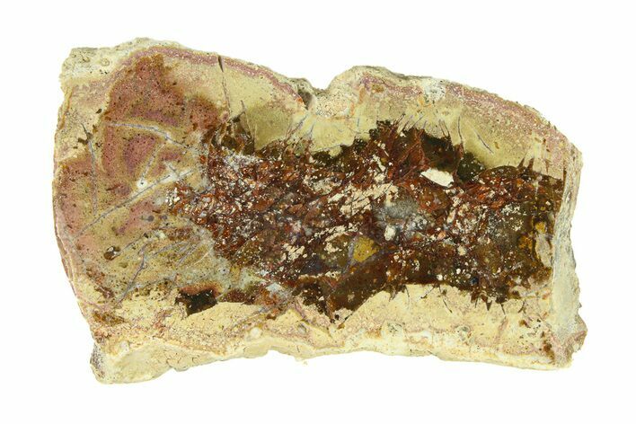 Polished Colorful Agate with Native Copper - Java, Indonesia #293383